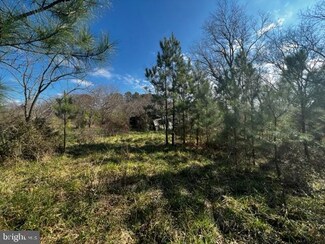 5513 Galestown Newhart Mill Rd, Galestown, MD
