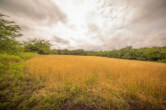 Tbd Collins Rd, Bellflower, MO 63333