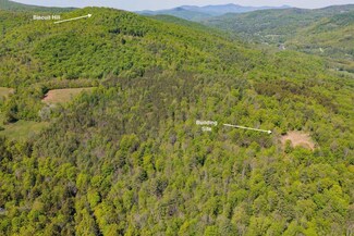 00 Biscuit Hill, Woodstock, VT 05091