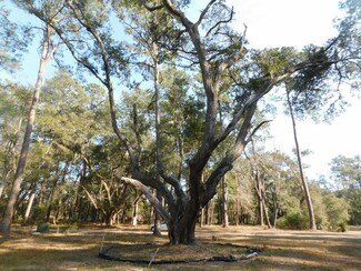 7775 Chaplin Garden Ln, Edisto Island, SC 29438