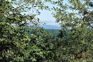 112th Ave Ct E, Alder, WA 98328