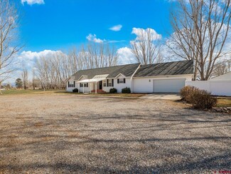 16718 Oceania Way, Montrose, CO 81403