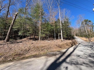 Lot 1 Galloway Blvd, Blairsville, GA 30512