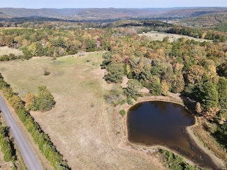 001 Overton Rd Unit LotWP001, Shirley, AR 72153