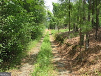 0 Louise Bell Rd, Lumpkin, GA 31815