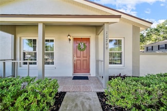 11799 Raintree Dr, Tampa, FL 33617