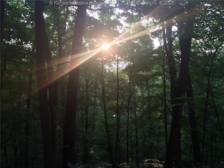 0 Fleshers Run Rd, Ravenswood, WV 26164