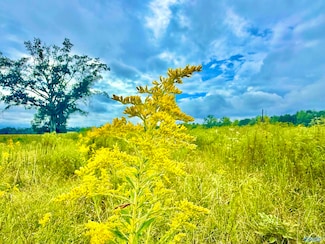 3860 County Road 173, Moulton, AL 35650