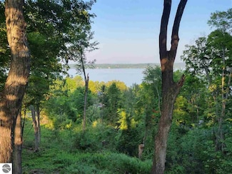 Lot 6 Torch Hills Ln, Rapid City, MI 49676