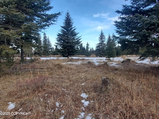 17528 Chefornak St, Happy Valley, AK 99639