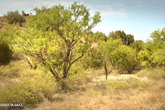 142 Tanglehead Ln Unit 28, Patagonia, AZ 85624
