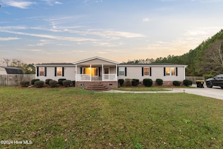 459 Blackmoore Run, Ayden, NC 28513