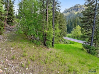 M.S. 1742 Lot 2 Hwy 14a Unit M.S. 1742 Lot 2 of T, Lead, SD 57754