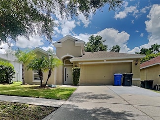 1143 Emerald Hill Way, Valrico, FL 33594