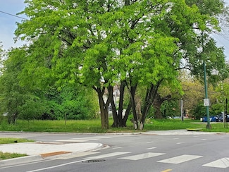7100 S Princeton Ave, Chicago, IL 60621