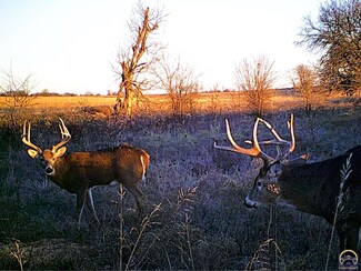00000 90th Rd, Cedar Point, KS 66843