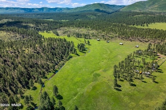 8523 Wiltbank Rd, Alpine, AZ 85920