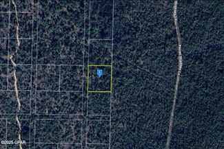 0 E Hwy 20 Unit 781804, Youngstown, FL 32466