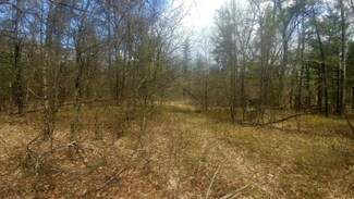 Par. 1 W Idlewild Pine Cir, Pleasant Plains Township, MI 49304
