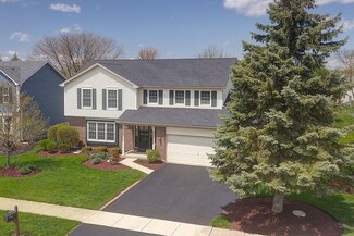 511 Bovidae Cir, Naperville, IL 60565