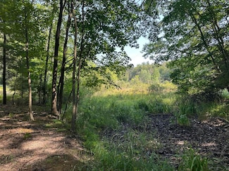 0 W Fruitvale Rd Unit 25040801, Montague, MI 49437