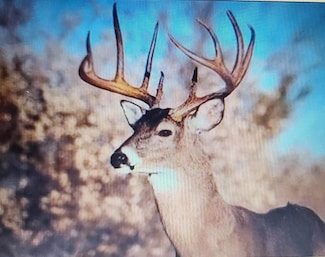 80 ACRES County Road I, Rosholt, WI 54473