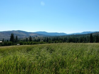 0 Buzzard Lake Rd Unit 663715, Okanogan, WA 98840