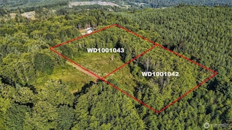 0 Lot Parcel Wd1001043 Unit NWM2398587, Kelso, WA 98626