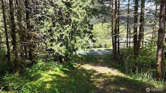 426 Highland Valley Rd, Morton, WA 98356