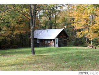323 County Line Aka Loomis Rd, Pinckney, NY 13626