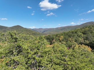 TR3 Turniptown Rd, Ellijay, GA 30536