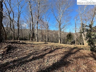 R49,50/ 51 Hemlock Ridge Rd, Blowing Rock, NC 28605