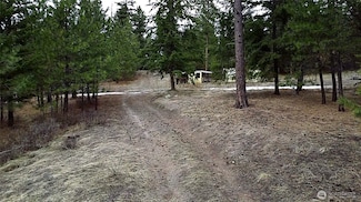 150 -B Summit Lake Rd, Oroville, WA 98844