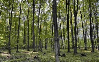 TBD S Wilson Rd Unit Parcel D, Wilson Township, MI 49712