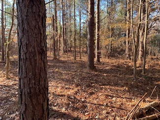3 Sulphur Springs Rd, Selmer, TN 38375