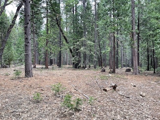5 Shoshone Dr, Camp Connell, CA 95223