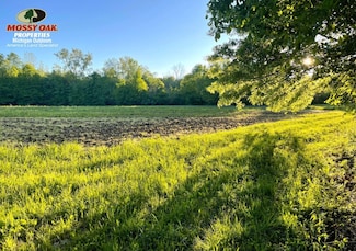 V L 42nd Ave, Paw Paw, MI 49064