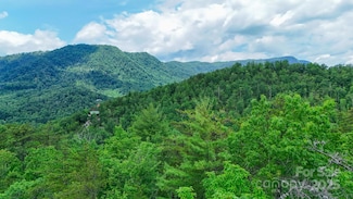 55 Chickasaw Way Unit 3B, North Cove, NC 28752