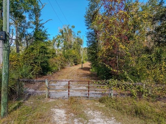 821 NE 262nd Ave, Old Town, FL 32680