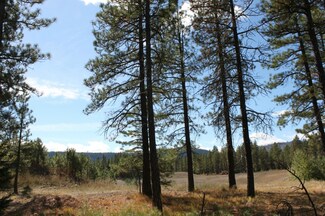 7 Lot 7 Evergreen Valley Lp, Ronald, WA 98940