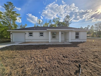19 Bay Court Pass, Ocklawaha, FL 32179