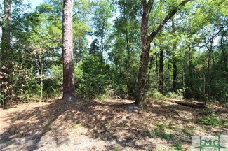 0 N Hwy 119 Unit 293706, Springfield, GA 31329