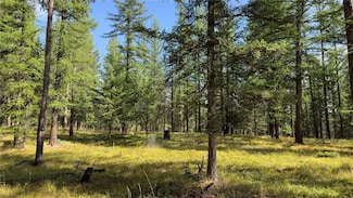 Nhn Forest Loop, Eureka, MT 59917