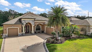 8420 Bridgeport Bay Cir, Mount Dora, FL 32757