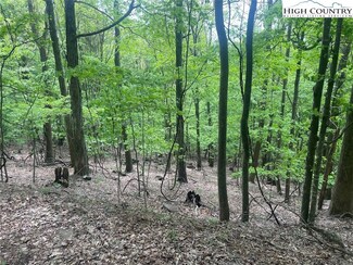 12 Fox Grape Ln, West Jefferson, NC 28694