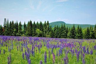 0 North Rd Unit 5064341, Milton, VT 05468