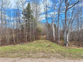0 S Piche Side Rd, Dafter Township, MI 49715