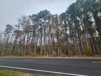 0 Norway Rd, Neeses, SC 29107