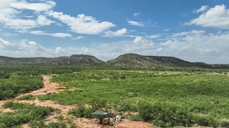 1596 Mule Creek Rd, Tennyson, TX 76953
