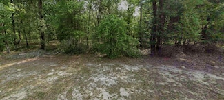 207 Wilson Dr, Interlachen, FL 32148